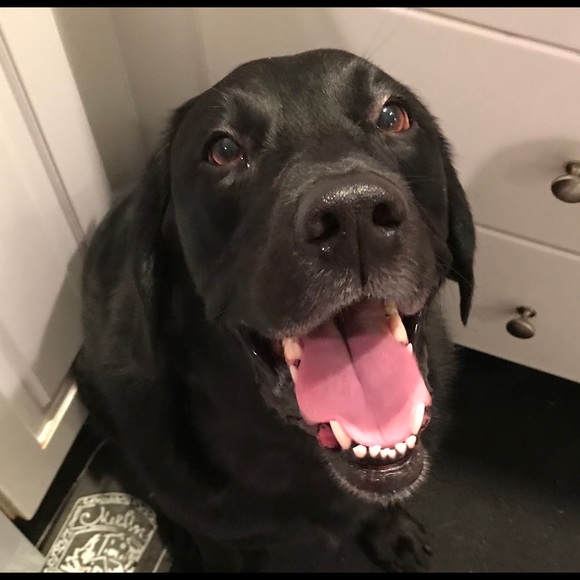 Meet your Posher, Nancy - Picture 4 of 8